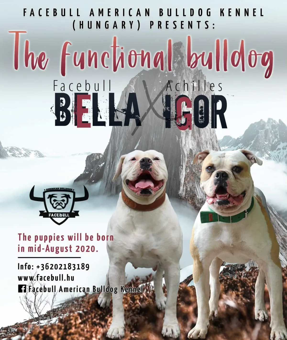H alom fedeztetési plakátja – Achilles's Igor X Hell's Gate Guardian Bella of Facebull